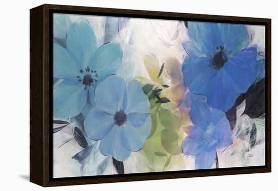 Hibiscus Blooms-Ivo Stoyanov-Framed Stretched Canvas