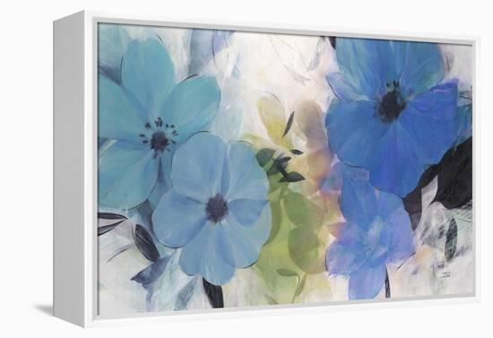 Hibiscus Blooms-Ivo Stoyanov-Framed Stretched Canvas