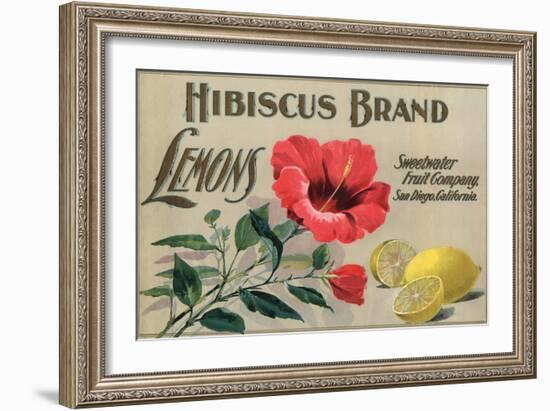 Hibiscus Brand - San Diego, California - Citrus Crate Label-Lantern Press-Framed Art Print