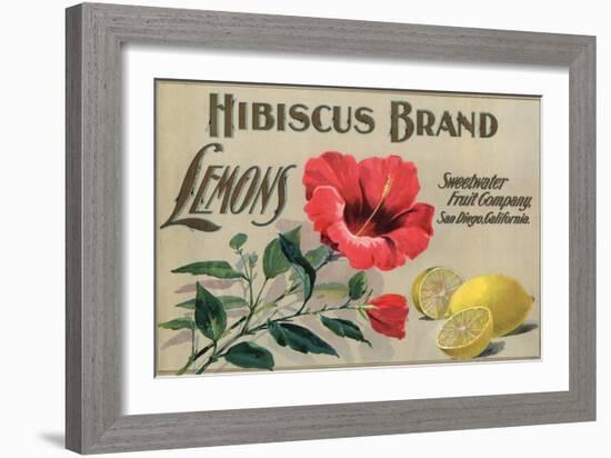 Hibiscus Brand - San Diego, California - Citrus Crate Label-Lantern Press-Framed Art Print