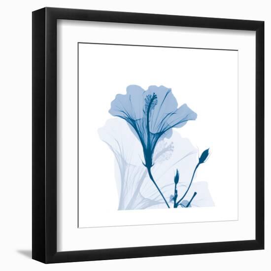 Hibiscus Chiller-Albert Koetsier-Framed Art Print