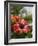 Hibiscus, Costa Rica-Robert Harding-Framed Photographic Print