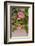 Hibiscus Flower, Cozumel, Mexico-Jim Engelbrecht-Framed Photographic Print