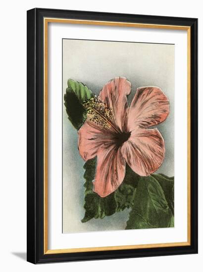 Hibiscus Flower, Hawaii-null-Framed Art Print