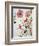 Hibiscus Flowerpiece-Sir Roy Calne-Framed Giclee Print