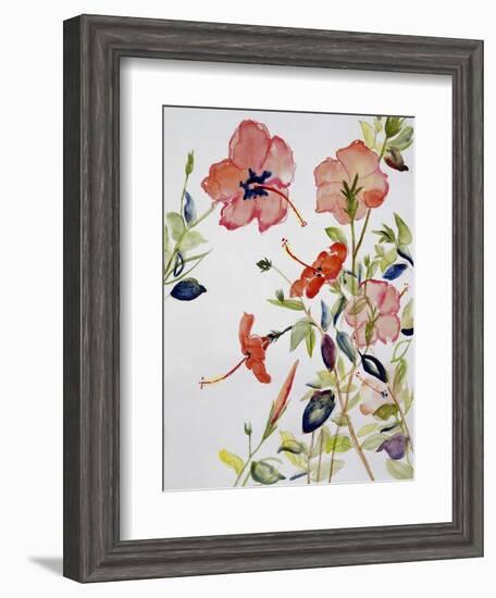 Hibiscus Flowerpiece-Sir Roy Calne-Framed Giclee Print