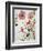 Hibiscus Flowerpiece-Sir Roy Calne-Framed Giclee Print