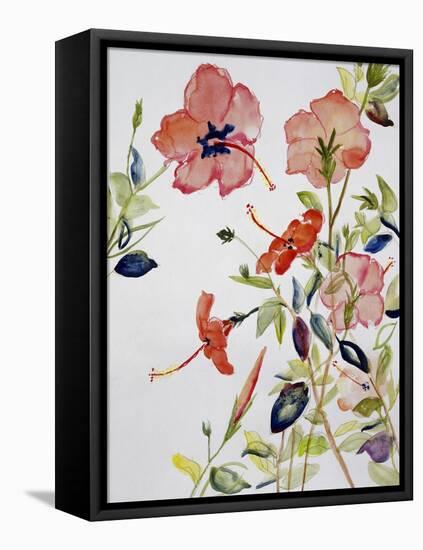 Hibiscus Flowerpiece-Sir Roy Calne-Framed Premier Image Canvas