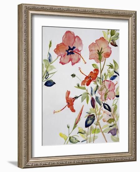 Hibiscus Flowerpiece-Sir Roy Calne-Framed Giclee Print