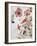 Hibiscus Flowerpiece-Sir Roy Calne-Framed Giclee Print