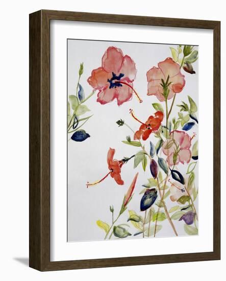 Hibiscus Flowerpiece-Sir Roy Calne-Framed Giclee Print