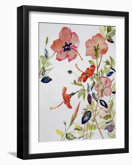 Hibiscus Flowerpiece-Sir Roy Calne-Framed Giclee Print