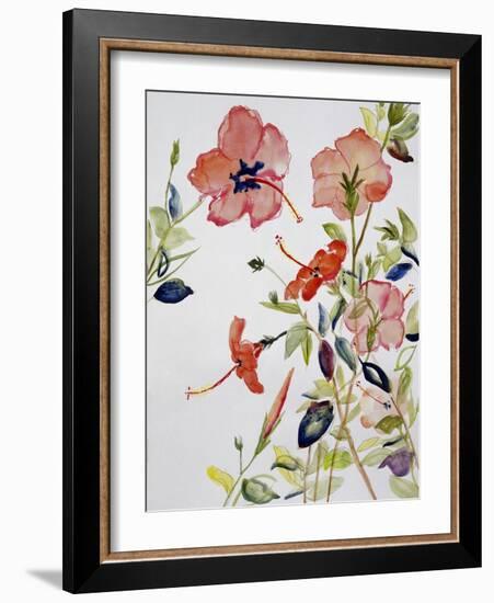 Hibiscus Flowerpiece-Sir Roy Calne-Framed Giclee Print