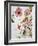 Hibiscus Flowerpiece-Sir Roy Calne-Framed Giclee Print