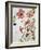 Hibiscus Flowerpiece-Sir Roy Calne-Framed Giclee Print