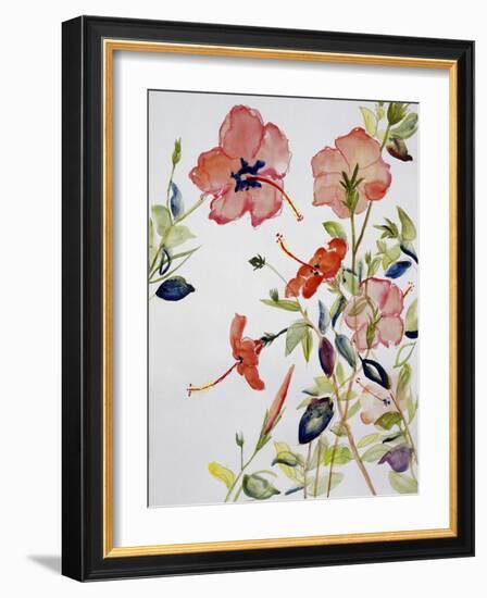 Hibiscus Flowerpiece-Sir Roy Calne-Framed Giclee Print