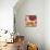 Hibiscus Fresco II-Erica J. Vess-Mounted Art Print displayed on a wall