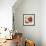 Hibiscus Fresco IV-Erica J. Vess-Framed Art Print displayed on a wall