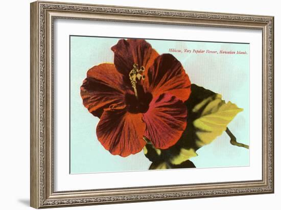 Hibiscus, Hawaii-null-Framed Art Print