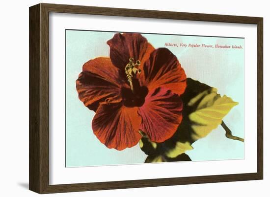 Hibiscus, Hawaii-null-Framed Art Print