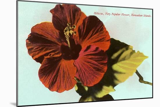 Hibiscus, Hawaii-null-Mounted Art Print