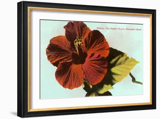 Hibiscus, Hawaii-null-Framed Art Print