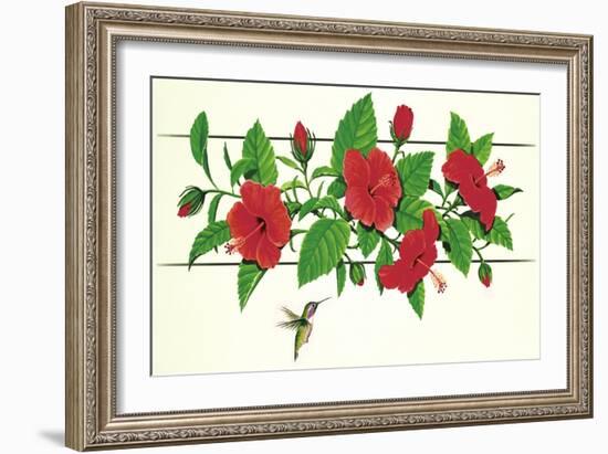 Hibiscus Hummer-null-Framed Giclee Print