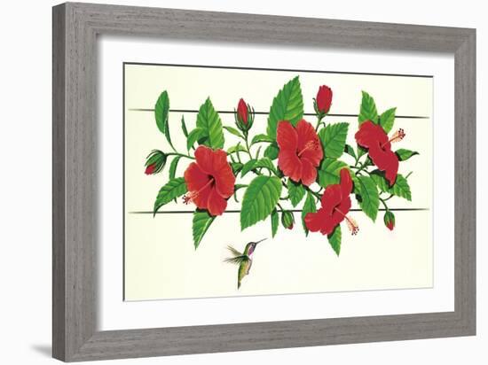 Hibiscus Hummer-null-Framed Giclee Print