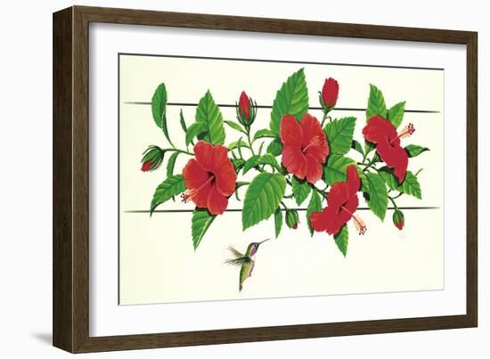 Hibiscus Hummer-null-Framed Giclee Print