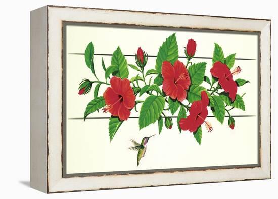 Hibiscus Hummer-null-Framed Premier Image Canvas