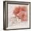 Hibiscus I-li bo-Framed Giclee Print