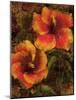 Hibiscus I-John Seba-Mounted Art Print
