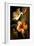 Hibiscus I-Vivienne Dupont-Framed Art Print