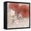 Hibiscus II-li bo-Framed Premier Image Canvas