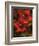 Hibiscus II-John Seba-Framed Premium Giclee Print