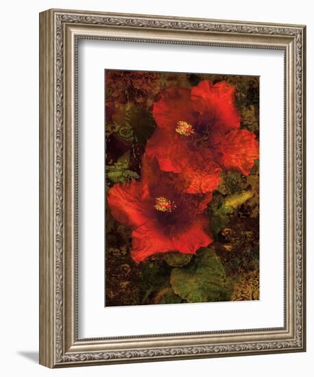 Hibiscus II-John Seba-Framed Premium Giclee Print