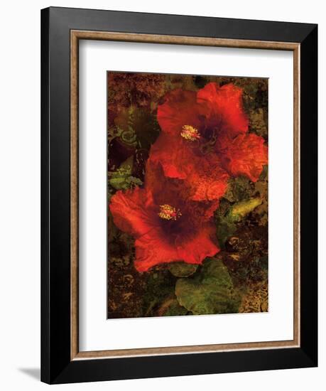 Hibiscus II-John Seba-Framed Premium Giclee Print