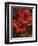 Hibiscus II-John Seba-Framed Premium Giclee Print