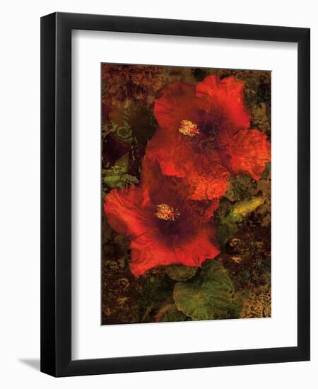 Hibiscus II-John Seba-Framed Premium Giclee Print
