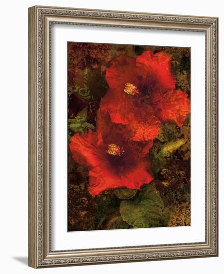 Hibiscus II-John Seba-Framed Art Print