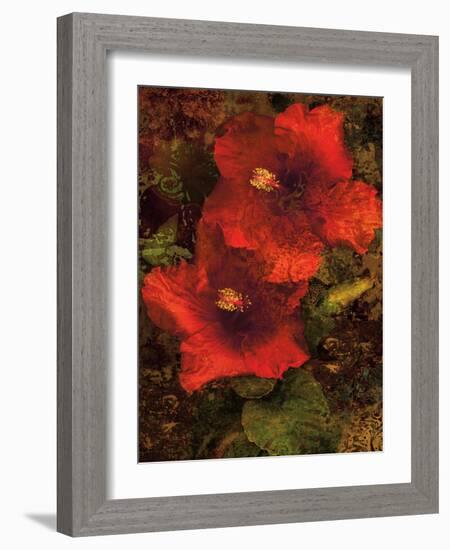 Hibiscus II-John Seba-Framed Art Print