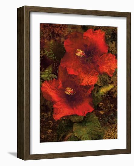 Hibiscus II-John Seba-Framed Art Print