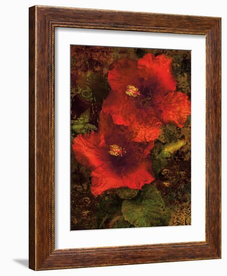 Hibiscus II-John Seba-Framed Art Print