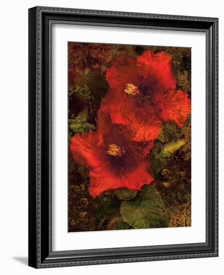 Hibiscus II-John Seba-Framed Art Print