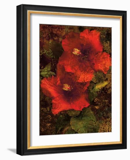 Hibiscus II-John Seba-Framed Art Print