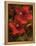 Hibiscus II-John Seba-Framed Stretched Canvas