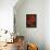 Hibiscus II-John Seba-Framed Stretched Canvas displayed on a wall