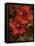 Hibiscus II-John Seba-Framed Stretched Canvas