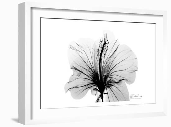 Hibiscus in Black and White-Albert Koetsier-Framed Art Print