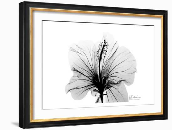 Hibiscus in Black and White-Albert Koetsier-Framed Art Print